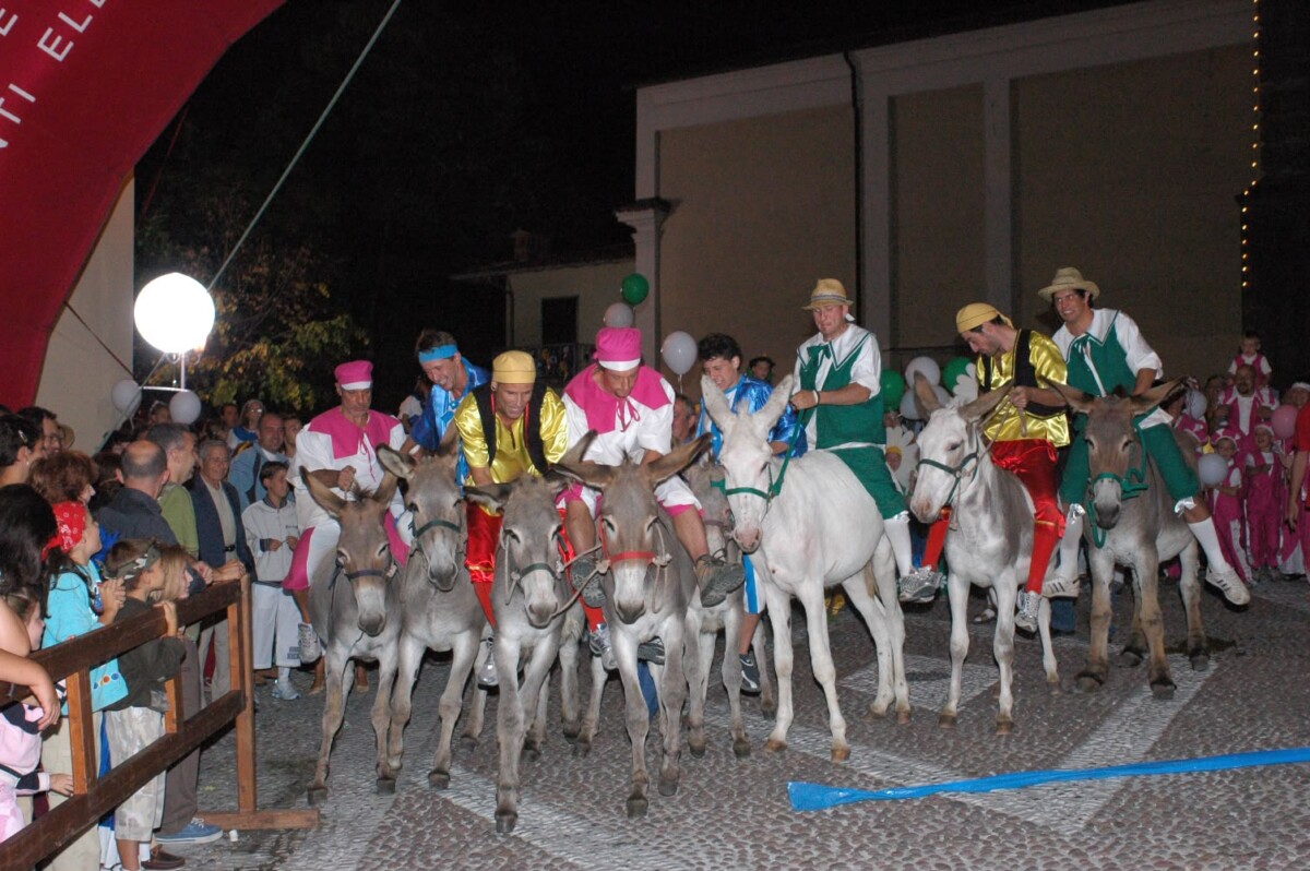 Sabato 8 agosto il palio degli asino di San Lorenzo festeggia cinquant’anni