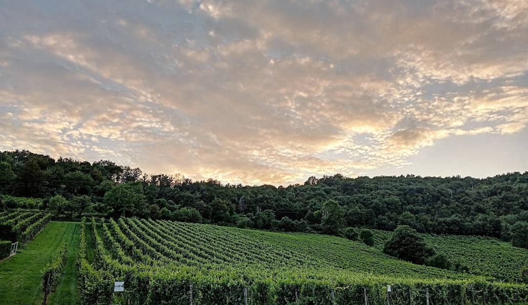 Scanzorosciate: un angolo di collina tra il Moscato di Scanzo e l’antica Bergamo
